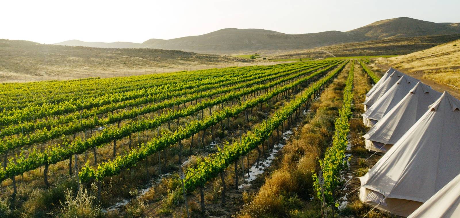 pop up glamping in the desert israel