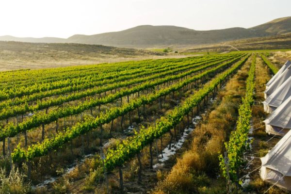 pop up glamping in the desert israel