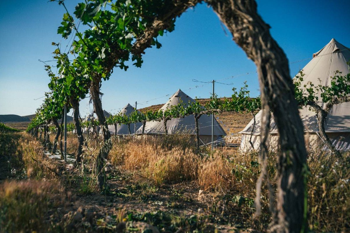 glamping israel in the desert